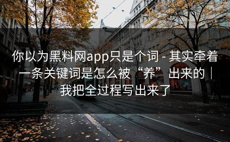 你以为黑料网app只是个词 - 其实牵着一条关键词是怎么被“养”出来的｜我把全过程写出来了
