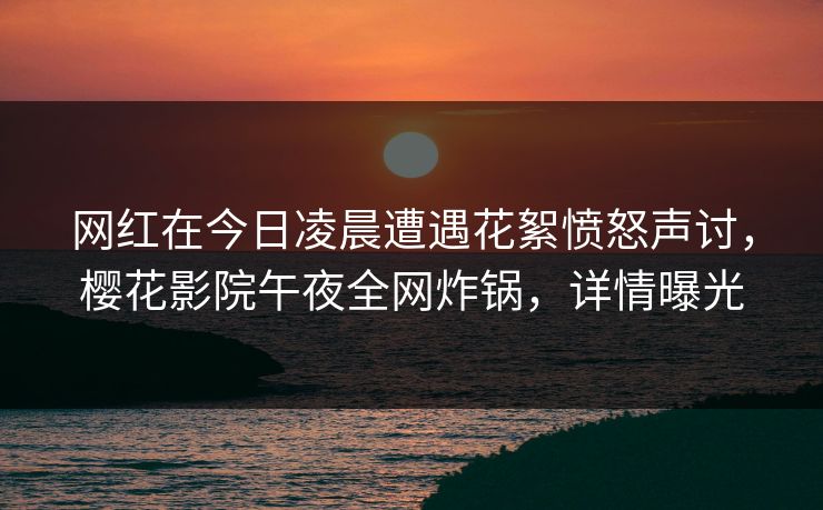 网红在今日凌晨遭遇花絮愤怒声讨，樱花影院午夜全网炸锅，详情曝光