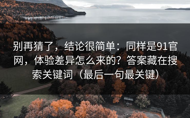 别再猜了，结论很简单：同样是91官网，体验差异怎么来的？答案藏在搜索关键词（最后一句最关键）